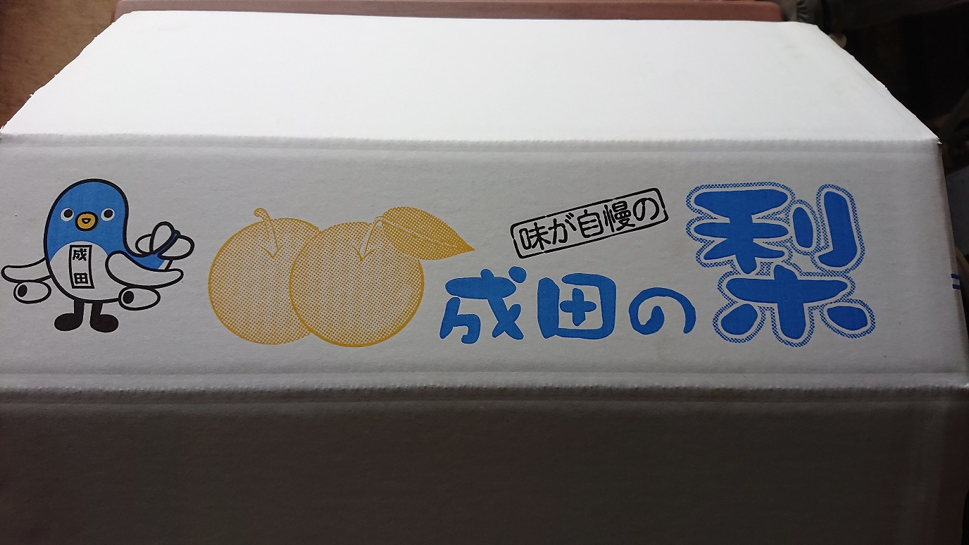 梨 【日時指定不可】 梨（幸水または豊水）3kg フルーツ 果物 なし 先行予約 特産品 旬のフルーツ 千葉県 成田市