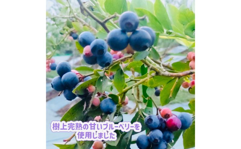 ジェラート 濃い!小さなブルーベリー農園のご褒美ジェラート ブルーベリー アイス ミルク 濃厚 セット スイーツ デザート 冷凍 ご褒美 ギフト プレゼント 贈り物 お取り寄せ 成田市 千葉県