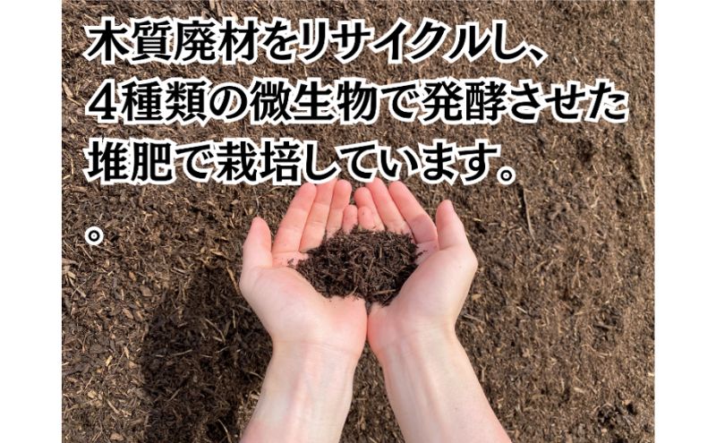 成田市産　さつまいも（紅はるか）