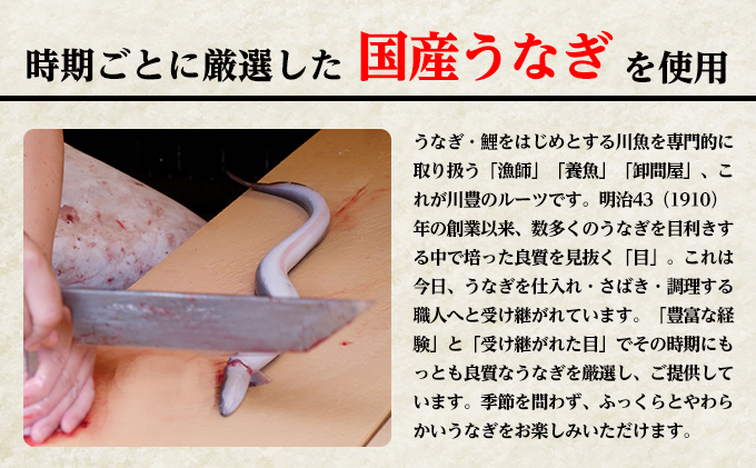 うなぎ 川豊 上蒲焼 2人前 セット 蒲焼 うなぎの蒲焼 国産う
