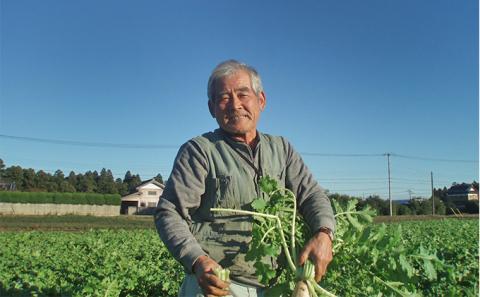おかげさま農場の野菜のおまかせセット（無化学農薬・肥料栽培）