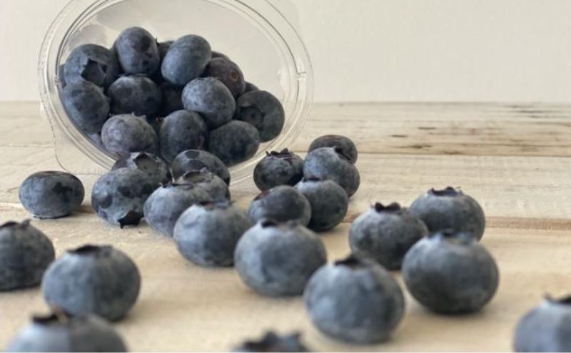 【先行予約】フレッシュブルーベリー（トワイライト大粒　100g×4） 果物 フルーツ 国産フルーツ 朝摘みブルーベリー 上品な香り 国産ブルーベリー