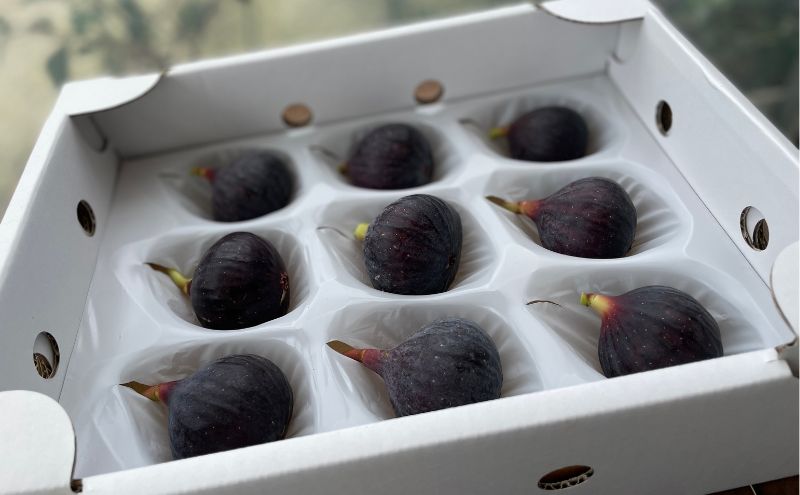 【先行予約】黒いちじく詰め合わせ　9個入り