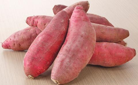 栽培期間中農薬不使用のさつまいも（紅はるか） 野菜 イモ