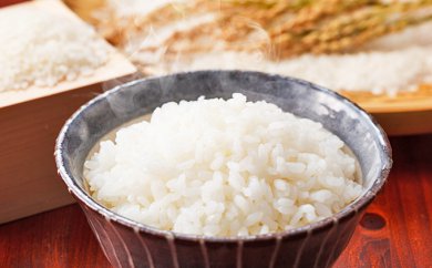 【令和7年度産】伊能歌舞伎米　こしひかり お米 コシヒカリ 5kg