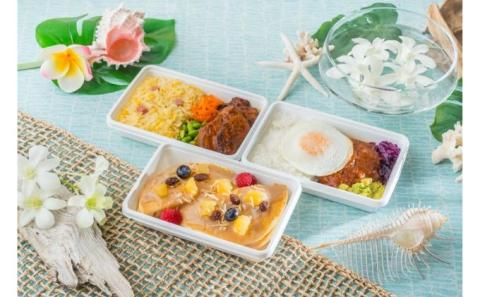 "訳あり" 世界の機内食 ハワイ絶品ロコフード6食セット（3種ｘ各2食）