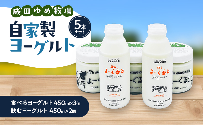 自家製ヨーグルト5本セット 乳製品 食べるヨーグルト 飲むヨーグルト