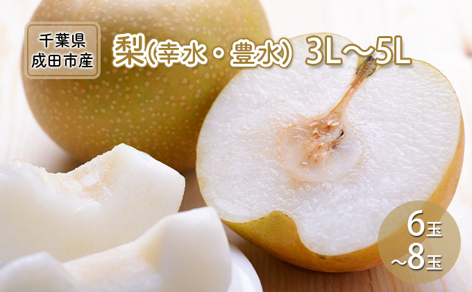 梨 幸水 豊水 3L～5L 6玉～8玉 なし ナシ 和梨 果物 くだもの フルーツ 旬のフルーツ 旬の果物 デザート 千葉 千葉県 成田市