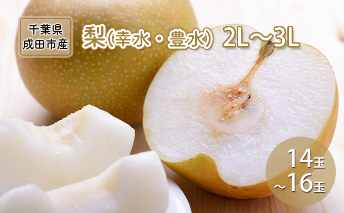 梨 幸水 豊水 2L～3L 14玉～16玉 なし ナシ 和梨 果物 くだもの フルーツ 旬のフルーツ 旬の果物 デザート 千葉 千葉県 成田市