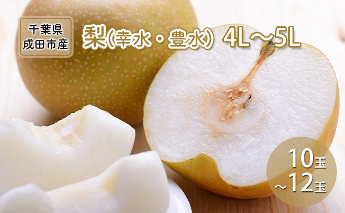 梨 幸水 豊水 4L～5L 10玉～12玉 なし ナシ 和梨 果物 くだもの フルーツ 旬のフルーツ 旬の果物 デザート 千葉 千葉県 成田市
