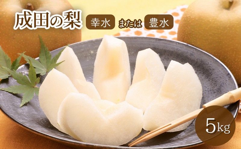 【日時指定不可】梨（幸水または豊水）5kg ナシ 果物 フルーツ 先行予約