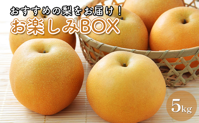 お楽しみBOX おすすめの梨をお届け 梨 7種の中からお任せ セット 詰め合わせ 豊水 秋月 かおり 新星 新高 甘太 にっこり なし ナシ 和梨 果物 くだもの フルーツ 旬のフルーツ 旬の果物 デザート 千葉 千葉県 成田市