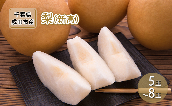 梨 先行予約 新高 5～8玉 なし ナシ 和梨 果物 くだもの フルーツ 旬のフルーツ 旬の果物 デザート 千葉 千葉県 成田市