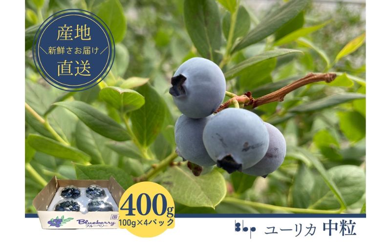 【先行予約】フレッシュブルーベリー　(ユーリカ中粒100g×4）