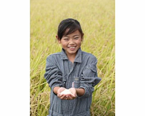 コシヒカリとミルキークイーン食べ比べセット　計6kg