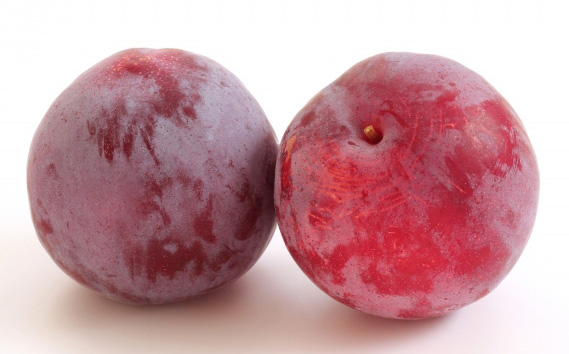 プラム（サマーエンジェル）約2～2.2kg