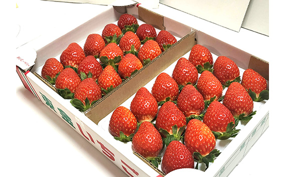 こだわり完熟苺（おいCベリー）900g