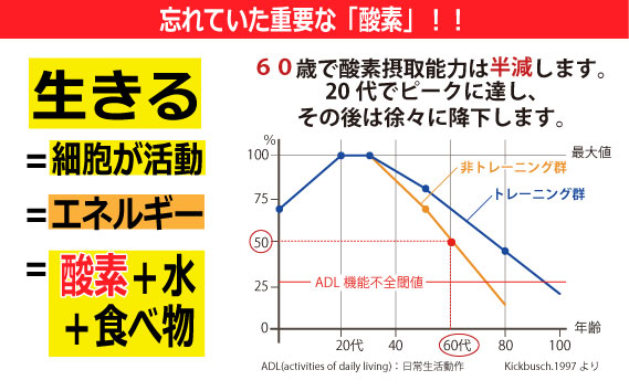 酸素補給水WOXウォックス  500ml×6本