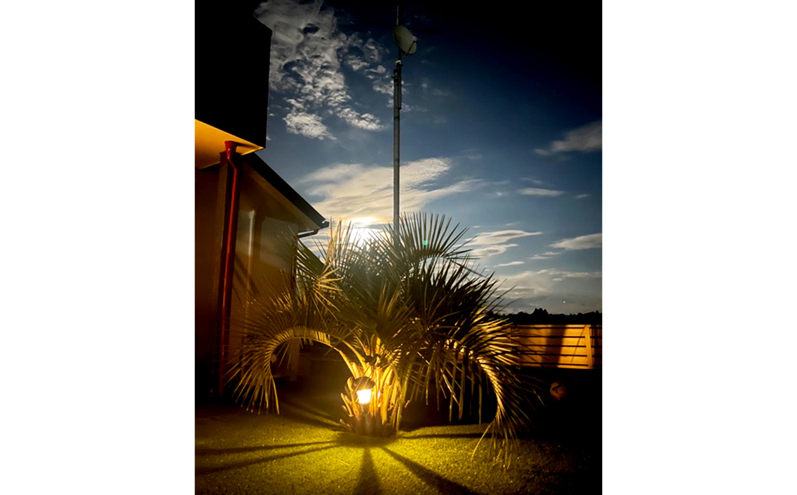 フカヒレハウス宿泊券（3万円相当分）