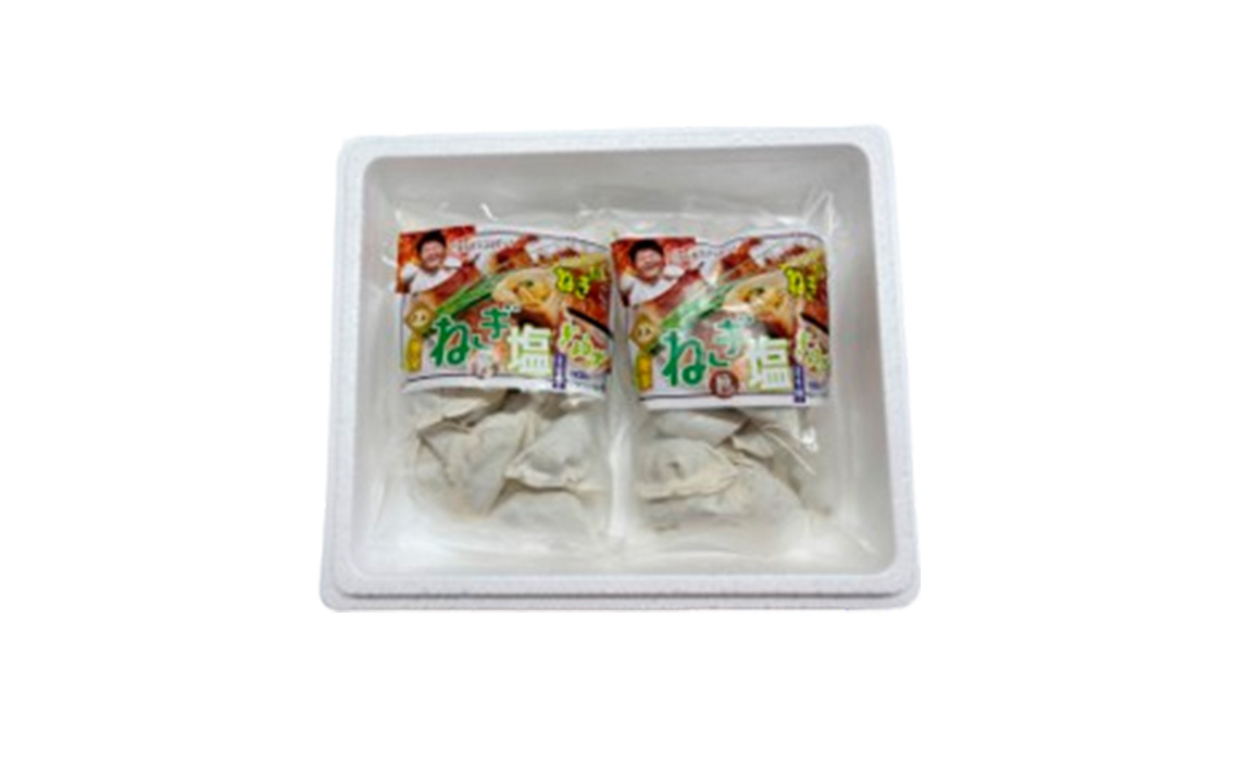 東金極楽ねぎ塩ぎょうざ2袋セット　20個入×2