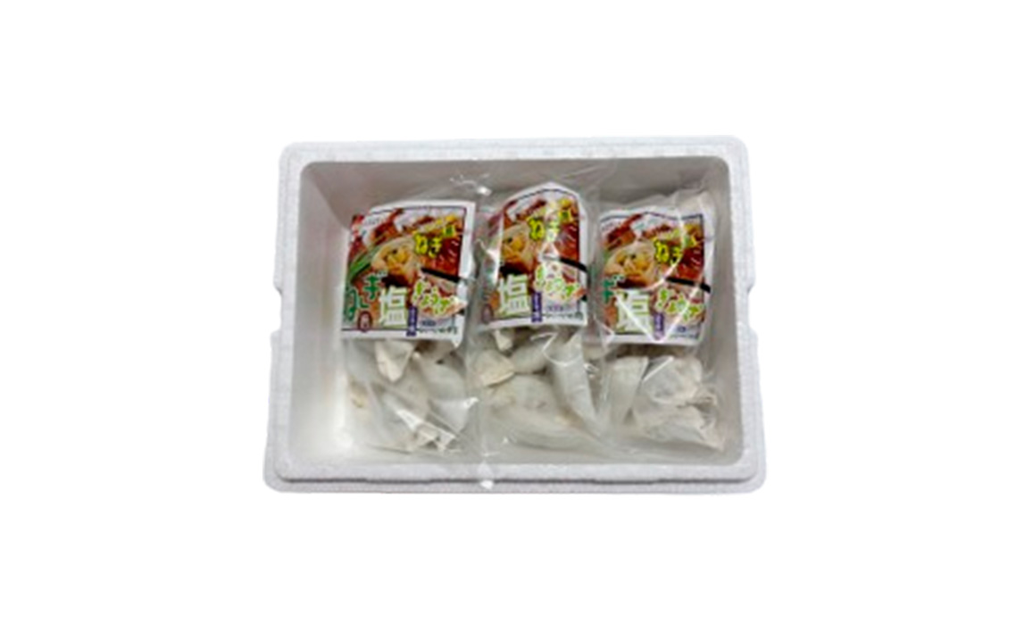 東金極楽ねぎ塩ぎょうざ3袋セット　20個入×3