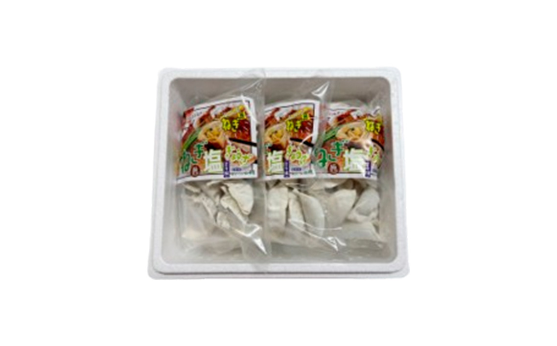 東金極楽ねぎ塩ぎょうざ5袋セット　20個入×5