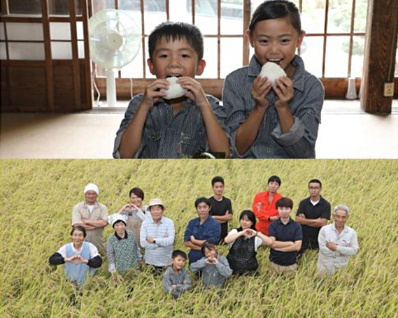 コシヒカリとミルキークイーン食べ比べセット　計6kg