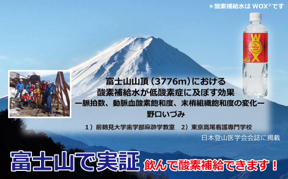酸素補給水WOXウォックス  500ml×6本