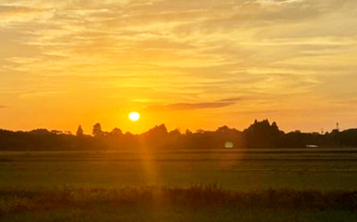 フカヒレハウス宿泊券（5万円相当分）