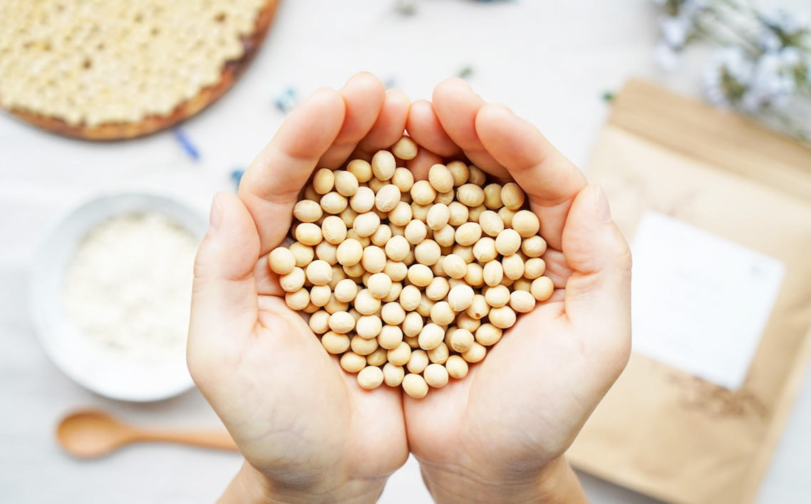 オーガニックプロテイン　280g×2袋セット