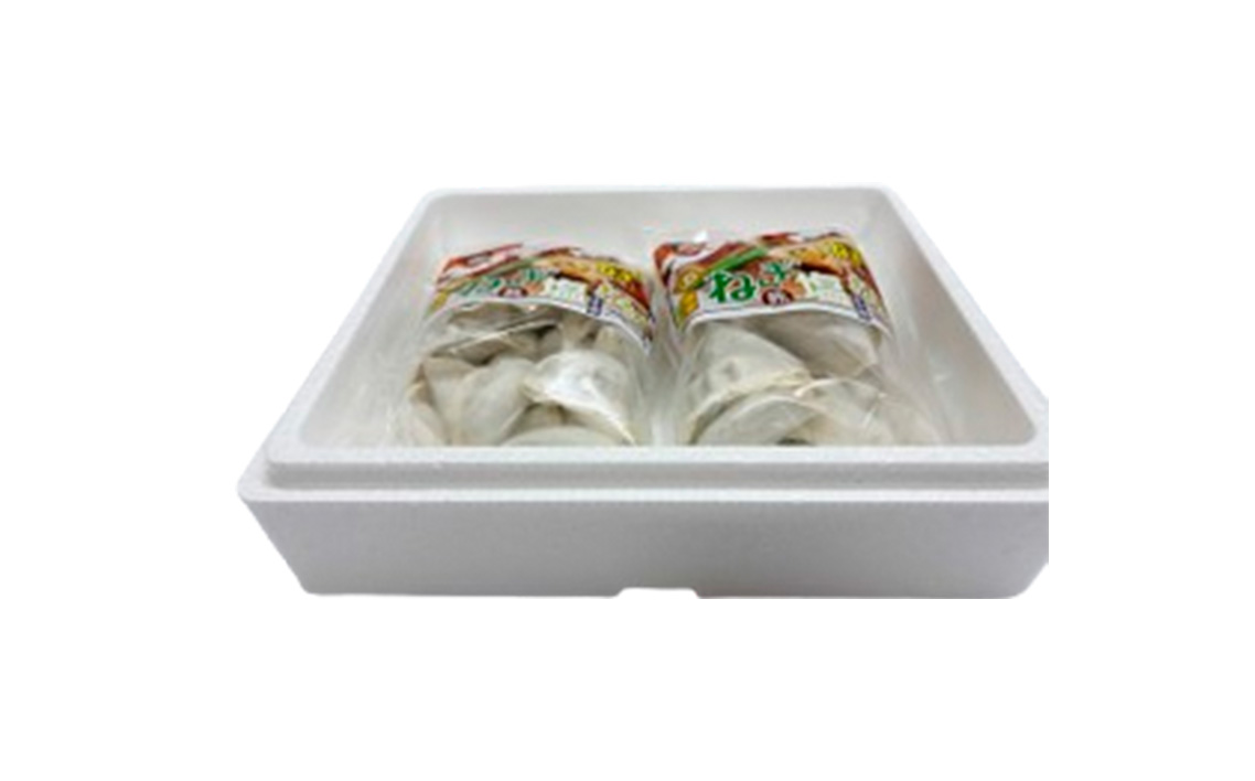 東金極楽ねぎ塩ぎょうざ2袋セット　20個入×2