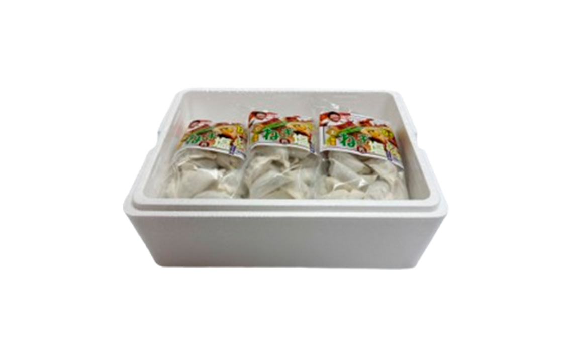 東金極楽ねぎ塩ぎょうざ6袋セット　20個入×6