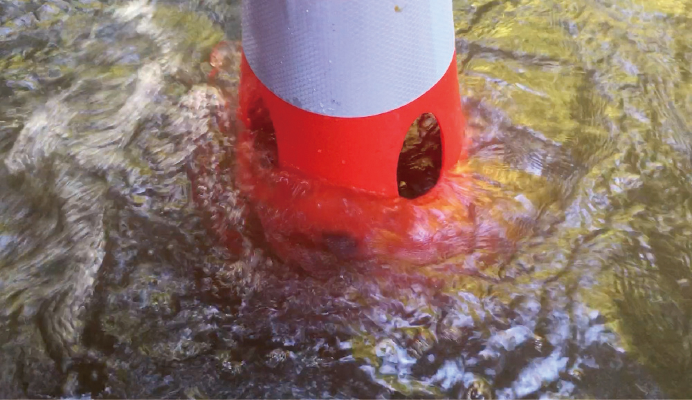 穴あきコーン　5個セット　グリーン