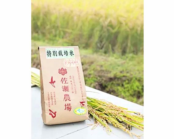 コシヒカリとミルキークイーン食べ比べセット　計6kg