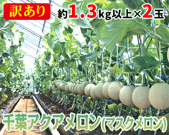 【約1.3kg以上×2玉】訳あり千葉アクアメロン（マスクメロン）大玉