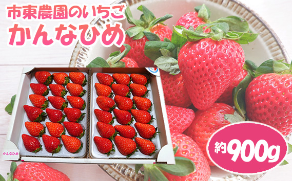 【市東農園のいちご】かんなひめ　約900g