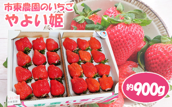 【市東農園のいちご】やよい姫　約900g