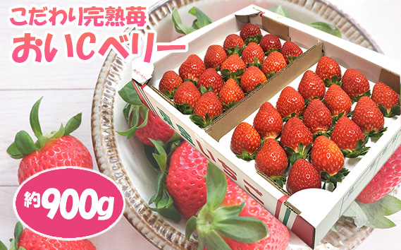 こだわり完熟苺（おいCベリー）900g