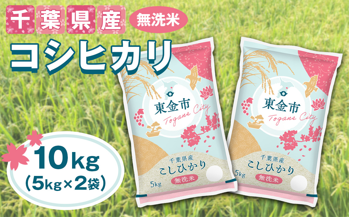 【令和7年産】千葉県産コシヒカリ10kg無洗米（5kg×2袋）