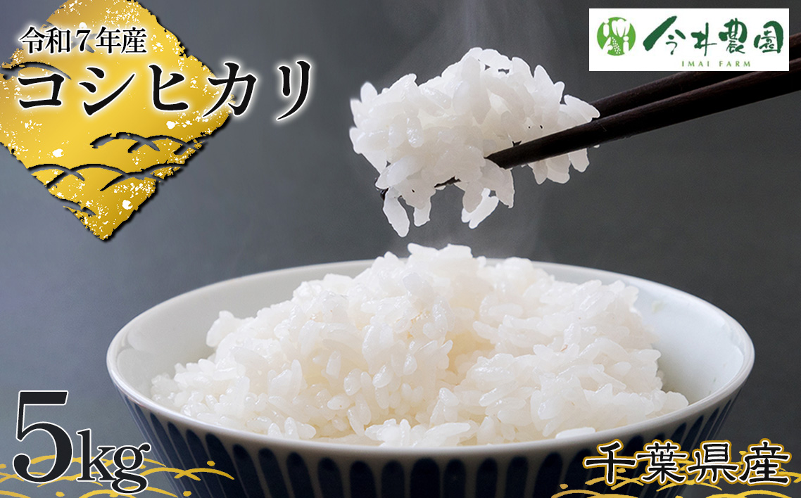 【令和7年産】千葉県産コシヒカリ（精米）5kg