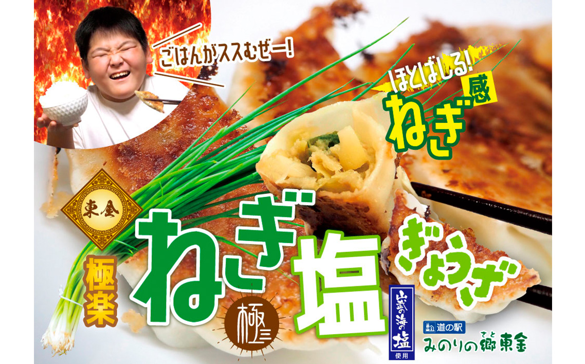 東金極楽ねぎ塩ぎょうざ2袋セット　20個入×2