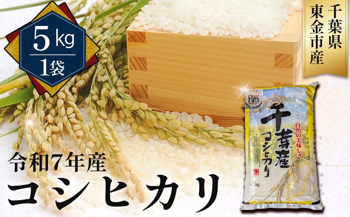 令和7年産 コシヒカリ5kg（千葉県東金市産）