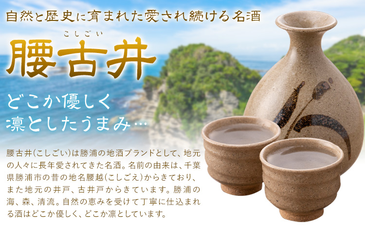 日本酒 腰古井 純米大吟醸 720ml 1本 有限会社 滝口商店《30日以内に出荷予定(土日祝除く)》千葉県 勝浦市 日本酒 酒 純米 大吟醸---kastuura_tkg_2---