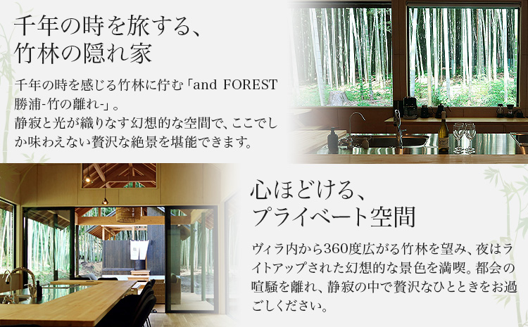and FOREST勝浦 竹の離れ 宿泊券 1~4名 1泊 素泊まり 土・祝前日 株式会社タスマニアンプロジェクト《30日以内に出荷予定(土日祝除く)》千葉県 勝浦市 宿泊券 サウナ付き---kastuura_tp_8---