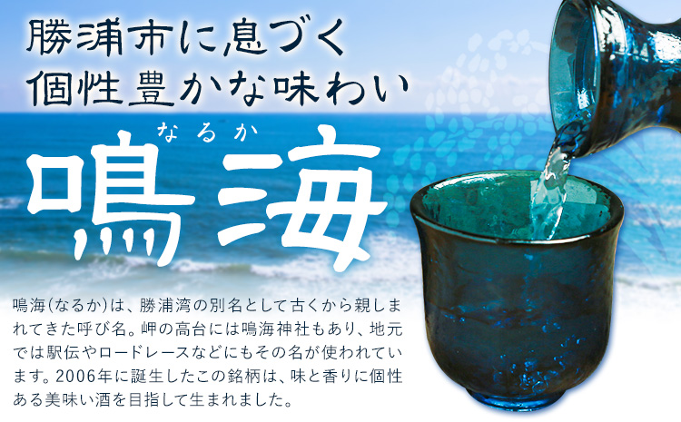 鳴海 きもと純米大吟醸 720ml 1本 有限会社 滝口商店《30日以内に出荷予定(土日祝除く)》千葉県 勝浦市 日本酒 酒 純米 大吟醸 きもと---kastuura_tkg_11---