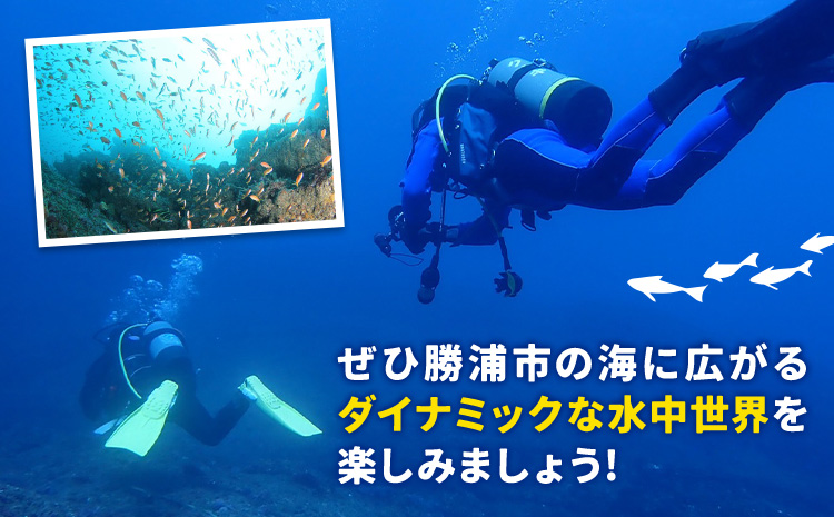 体験ダイビングチケット 勝浦ダイビング協会《90日以内に出荷予定(土日祝除く)》体験 ダイビング チケット  アウトドア アクティビティ 海 千葉県 勝浦市---kastuura_divn_1---