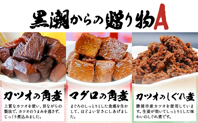 千葉県勝浦市 黒潮からの贈り物A(佃煮詰合せ) 有限会社 佃煮近江《90日以内に出荷予定(土日祝除く)》カツオの角煮 マグロの角煮 カツオのしぐれ煮【配送不可地域：離島】---kastuura_omi_2---