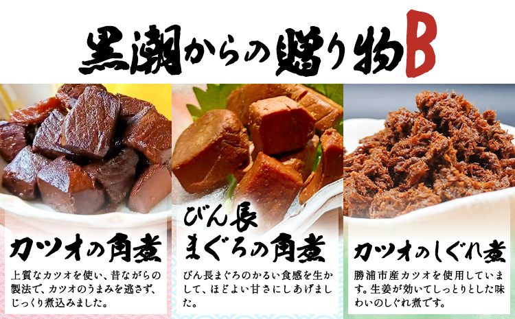 千葉県勝浦市 黒潮からの贈り物B(佃煮詰合せ) 有限会社 佃煮近江《90日以内に出荷予定(土日祝除く)》カツオの角煮 カツオのしぐれ煮 びん長まぐろの角煮【配送不可地域：離島】---kastuura_omi_3---