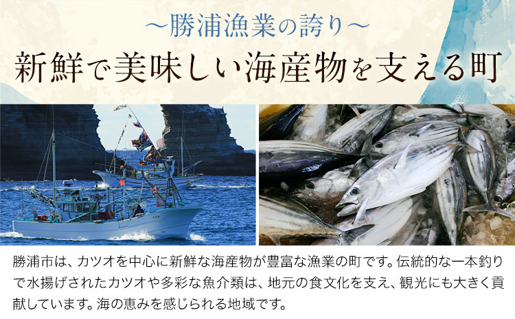 勝浦市産 釣り金目鯛刺身 100g《30日以内に出荷予定(土日祝除く)》千葉県 勝浦市 海産物 刺身 鯛 金目鯛 魚 海鮮---kastuura_cpfd_10---