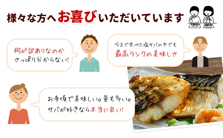 訳あり 塩サバ 3kg 海鮮 無添加《30日以内に出荷予定(土日祝除く)》株式会社西川 千葉県 勝浦市  塩 さば サバ 魚 無添加 鯖 冷凍 塩さば 大容量 魚介 切り身 さかな【配送不可地域：離島】---kastuura_nsk_4---